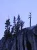 Archival fragment 116 from Yosemite, 2001